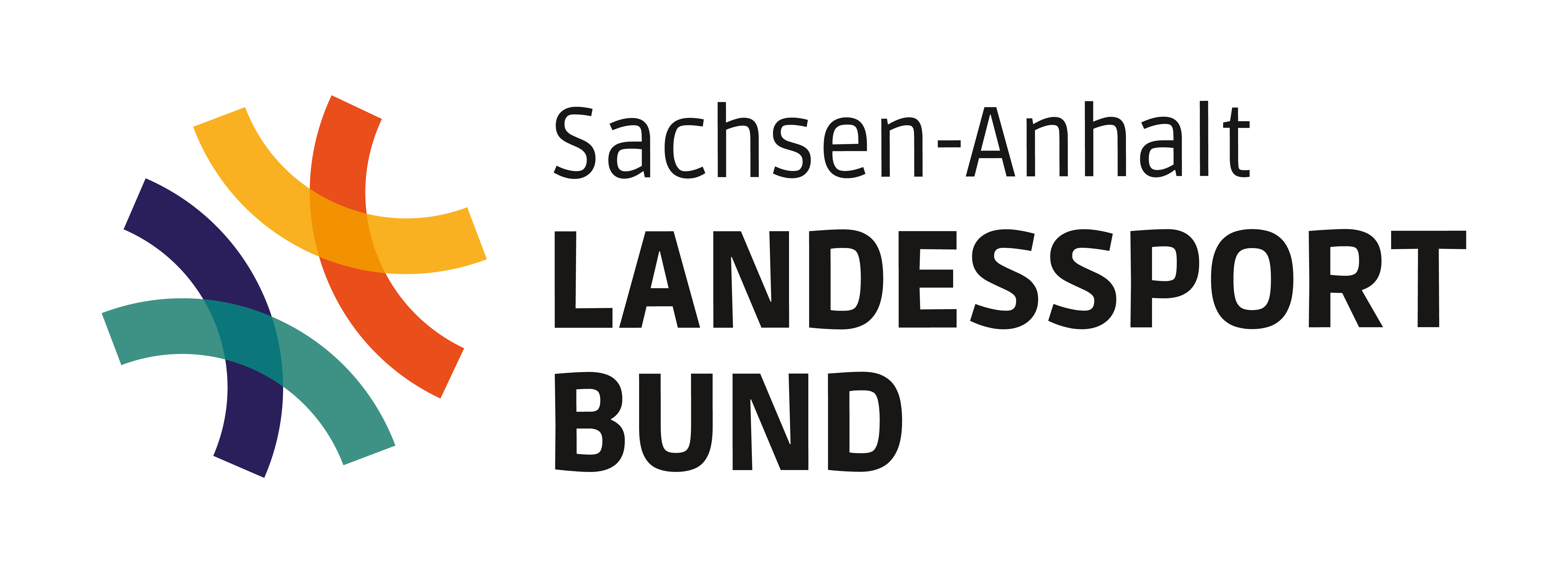 LSB SA Logo